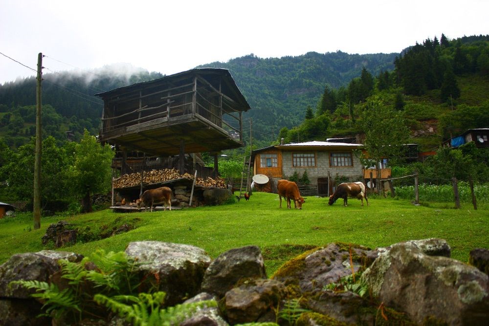 Ardahan Yayla Tatili