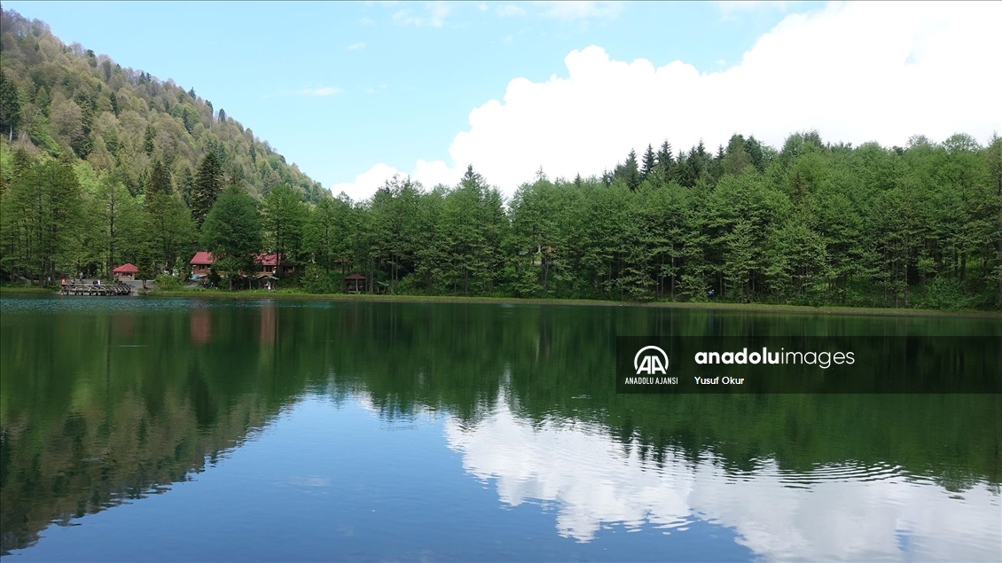 Artvin Doğa Tatili