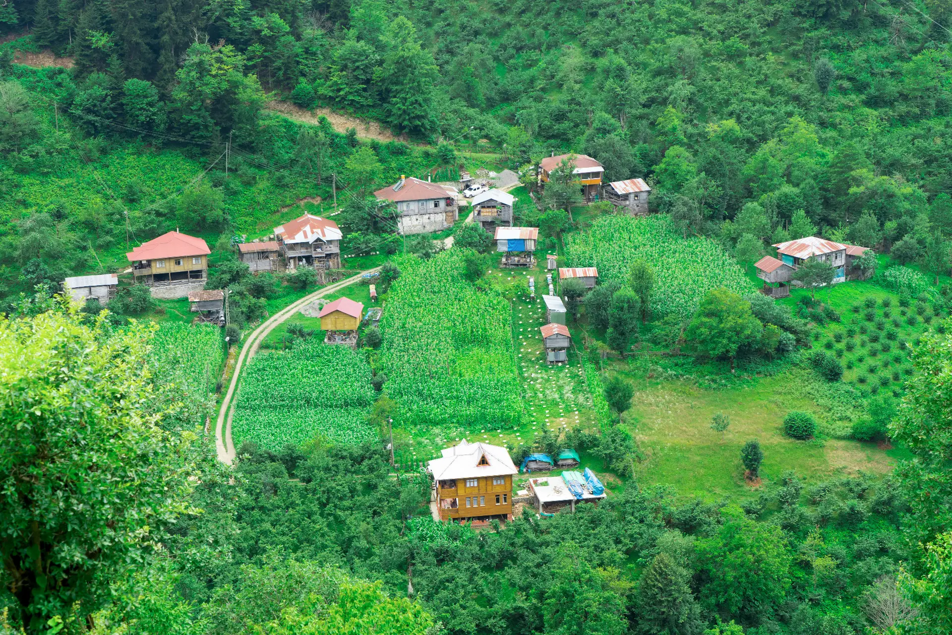 Artvin Doğa Tatili