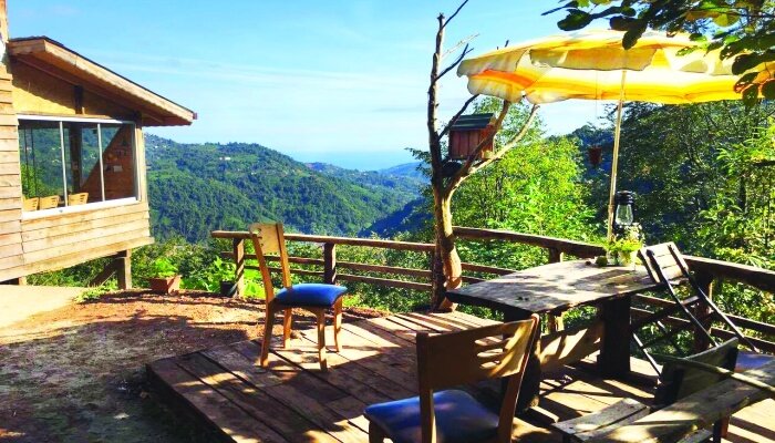 Rize Yayla Tatili
